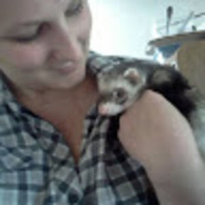 Meet your Posher, Katy